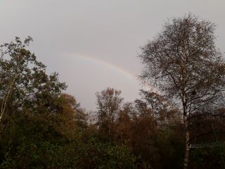 Sfeerbeeld met regenboog