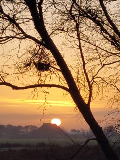 Zonsopgang boven boerderij De Oorsprong